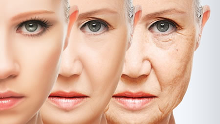 Menopausal skin course